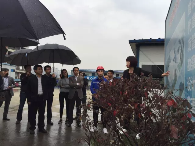 3354cc金沙集团(中国)有限公司-BinG百科