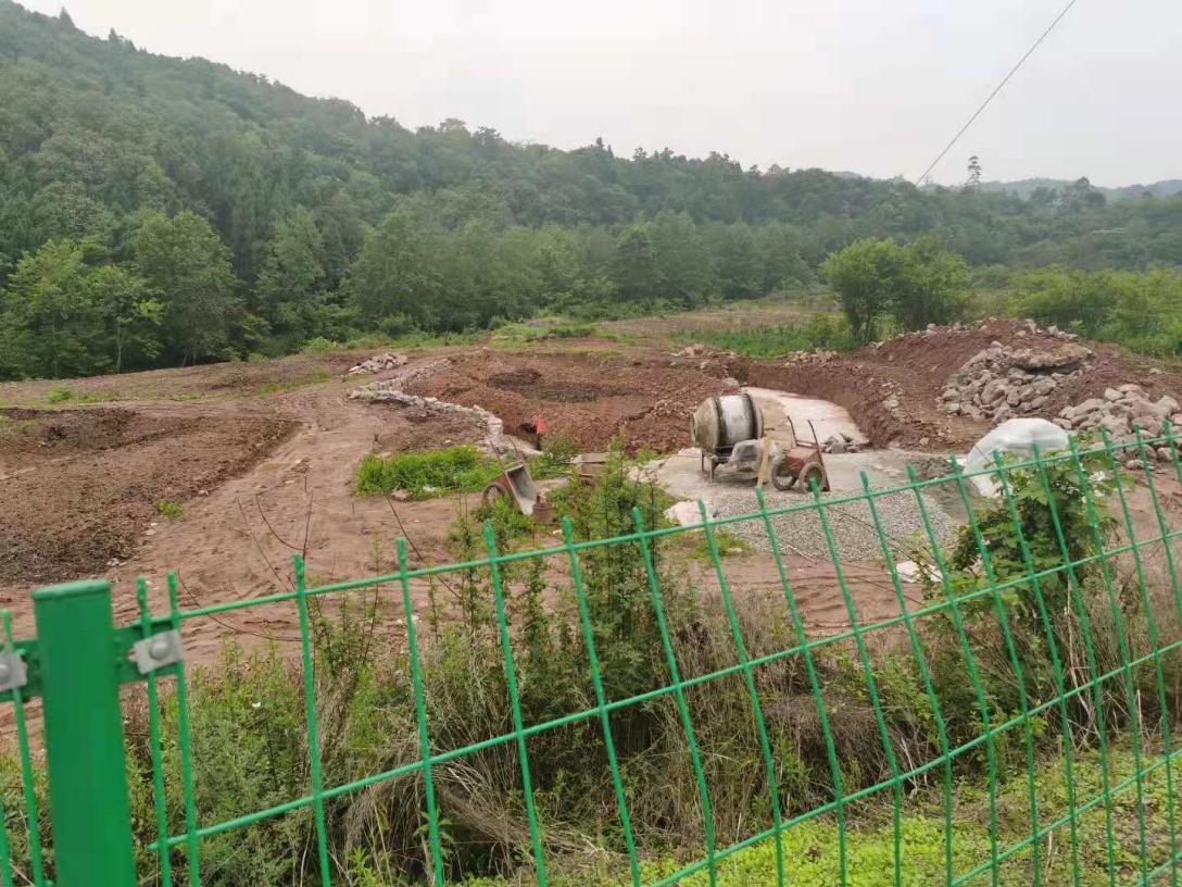 3354cc金沙集团(中国)有限公司-BinG百科